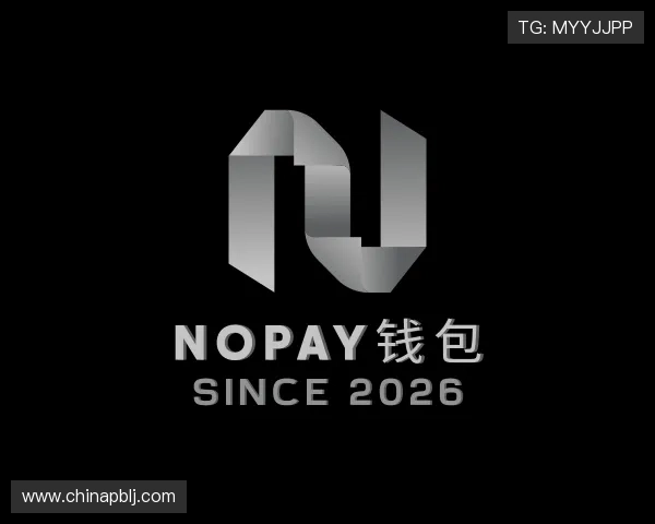 发现NOPAY钱包
